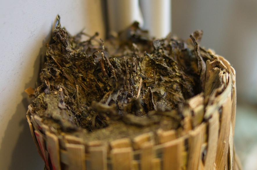伪物语动漫，探索二次元的深度与魅力