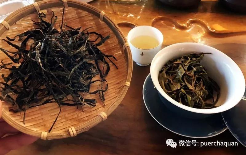 35MM电影摄影镜头，捕捉光影的艺术与魅力